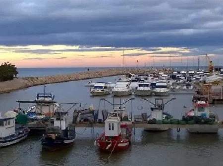 Espert Perello (Valencia)